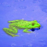Spectacular Photos of Creation Part 3