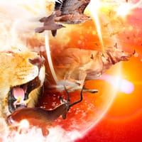 Why Believe in Genesis by loswl