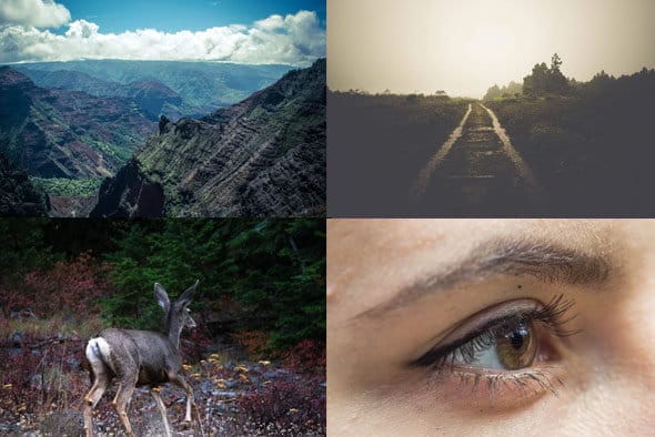 free photos