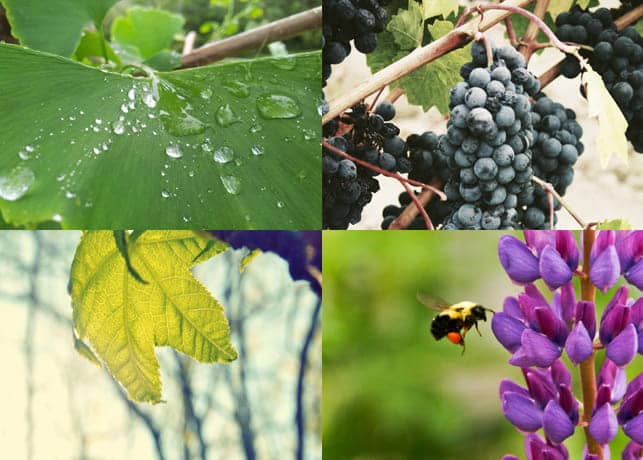 150 Free Nature Photos