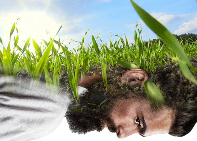 Fertile Ground Man Artwork